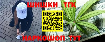 стаф Сланцы
